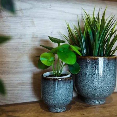 Cosea Living: Seaside Deluxe In Harbour 107b *