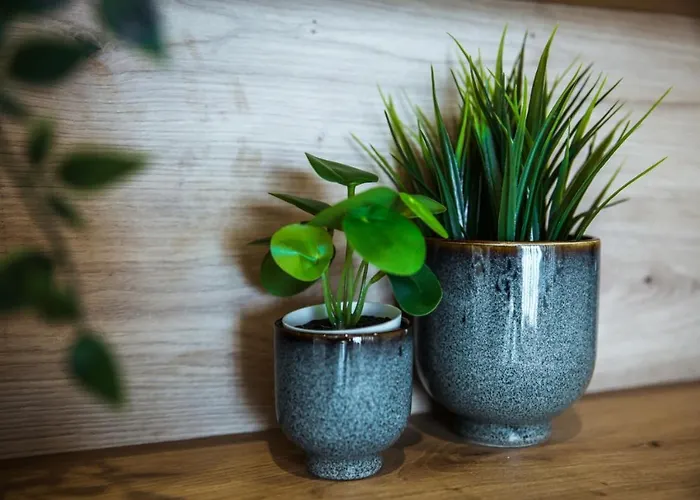 Cosea Living: Seaside Deluxe In Harbour 107b *